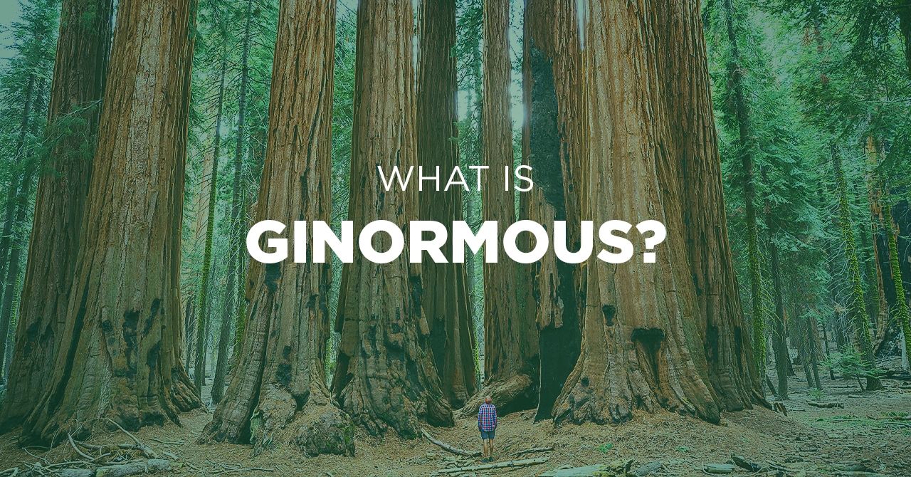 Ginormous—Is It a Real Word and When to Use It?