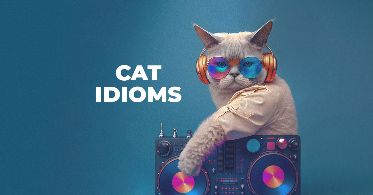 Cat Idioms with meaning and sentence