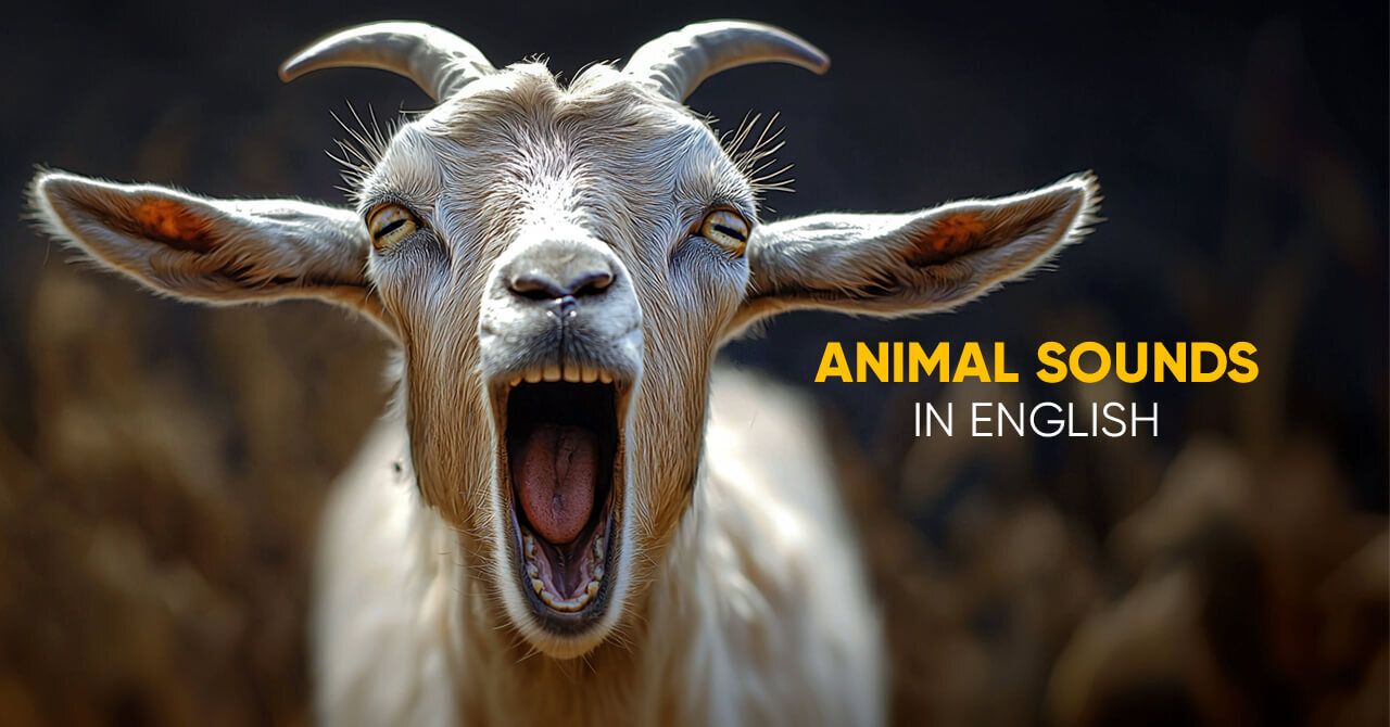 Animal Sounds in English