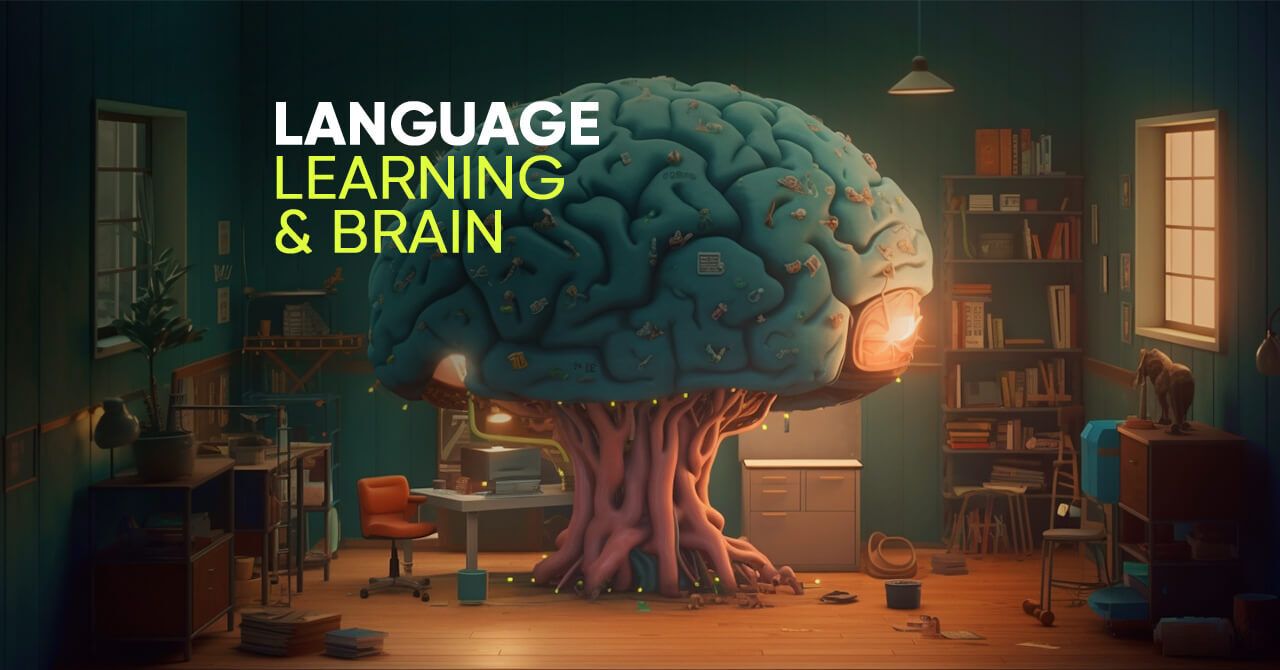 What Happens To Our Brain When We Learn A New Language   Language Learning   Brain 