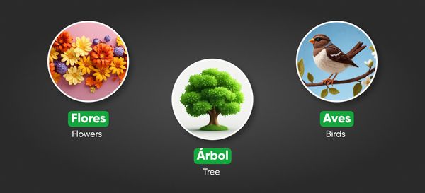 Seasons in Spanish | 4 Seasons, Weather Periods, And Their Months