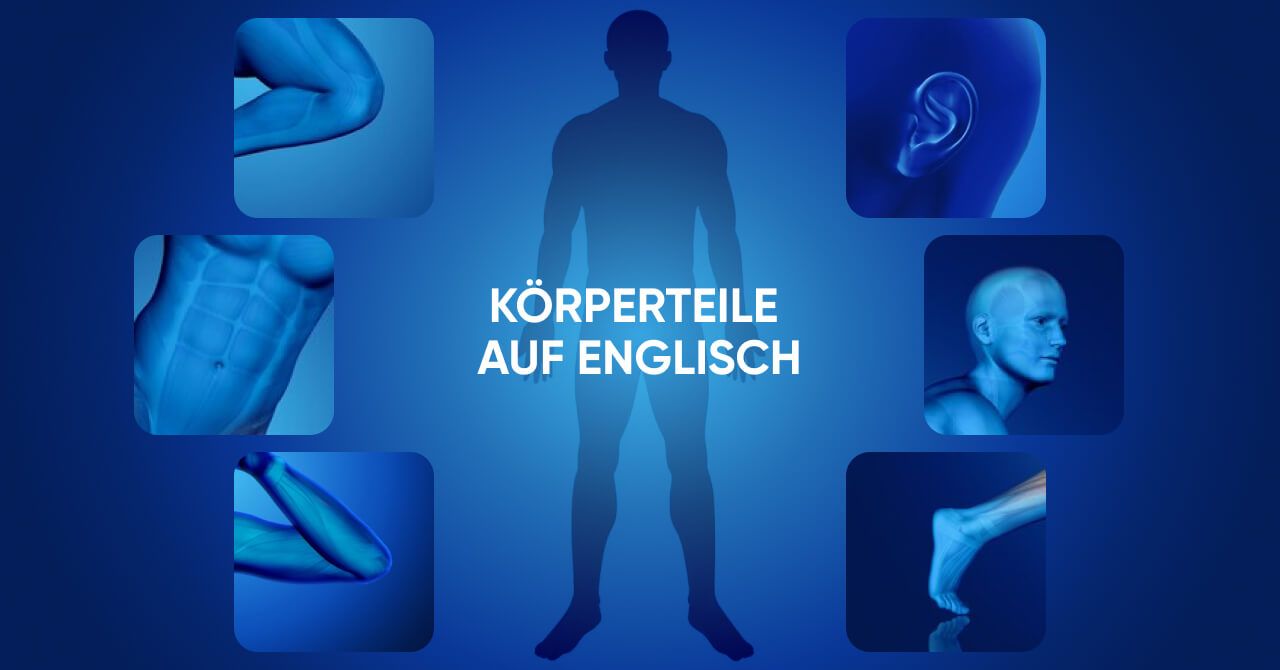 Körperteile auf Englisch