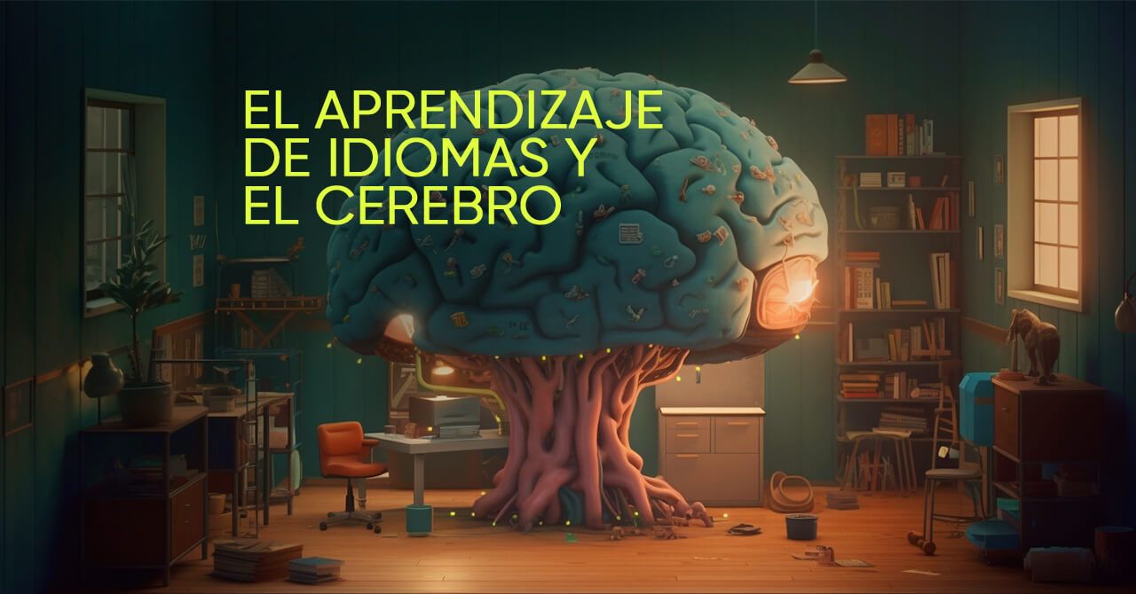 El aprendizaje de idiomas y el cerebr