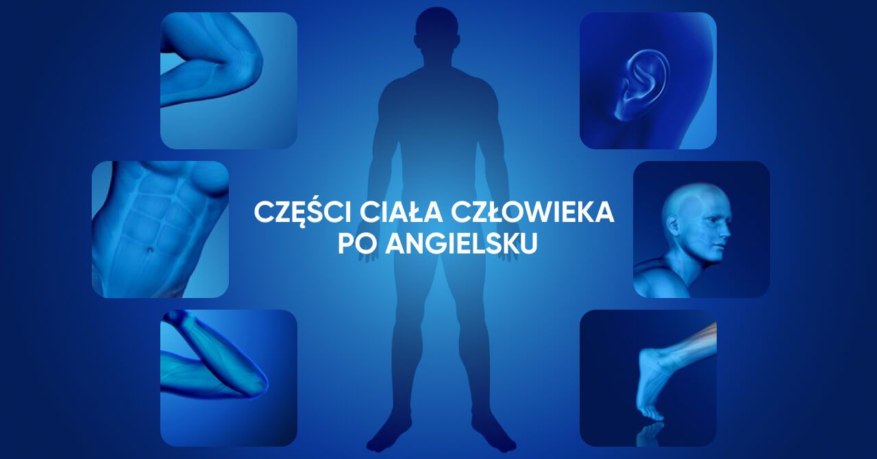 Części ciała po angielsku