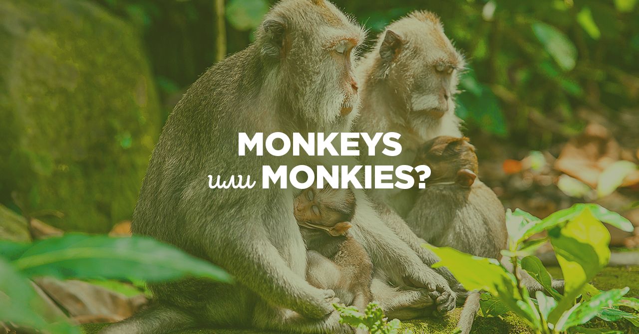 Какой вариант написания правильный: monkeys или monkies?