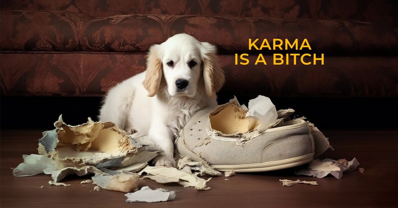 “Karma is a Bitch!”